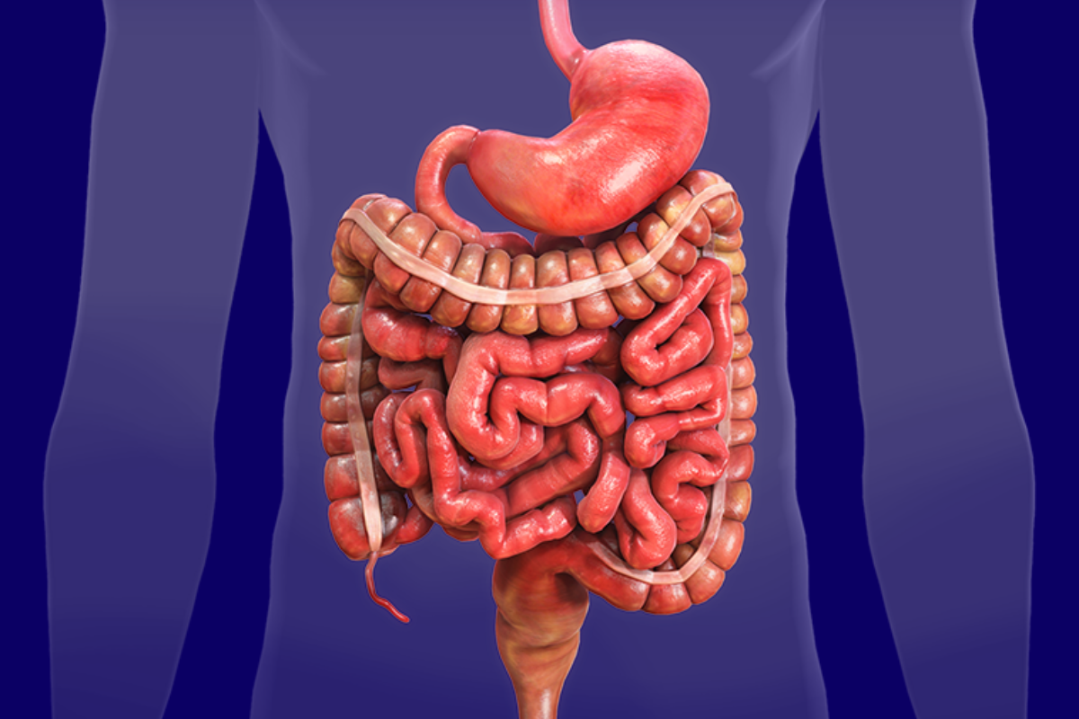 Intestinal Health